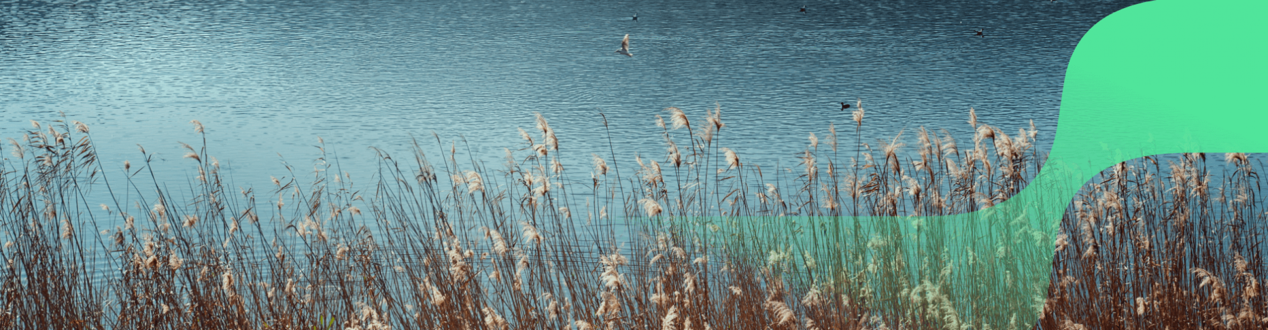 lake
