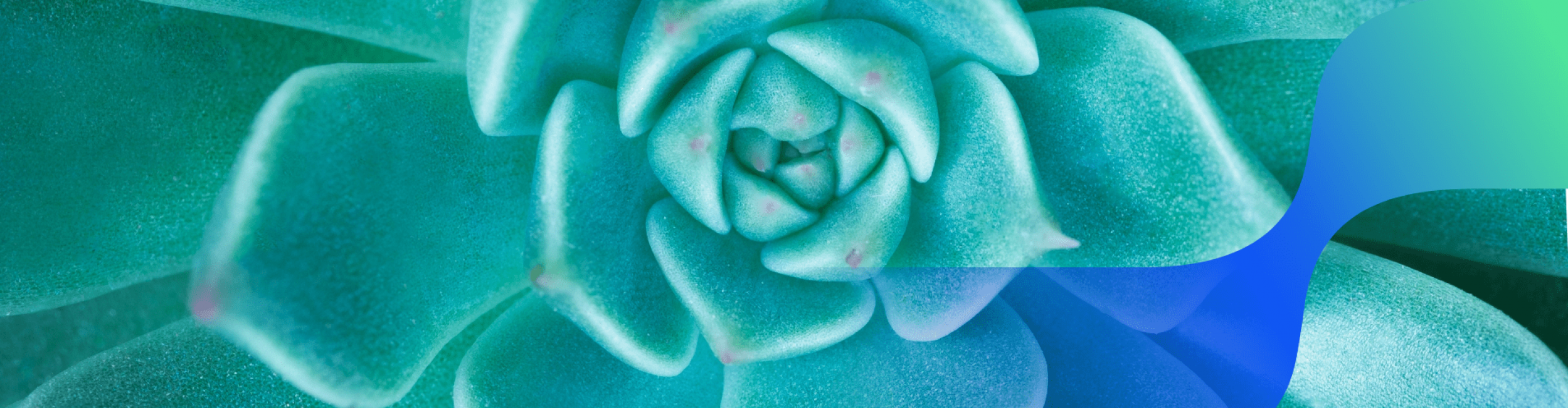green flower